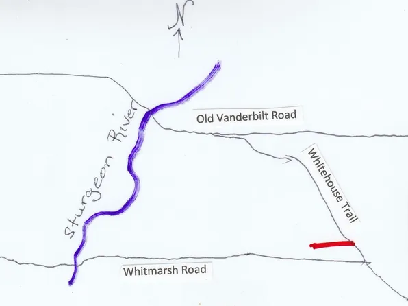 Whitehouse Trl, Vanderbilt, MI 49795