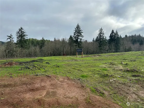 231 Ash Mountain Drive, Castle Rock, WA 98611