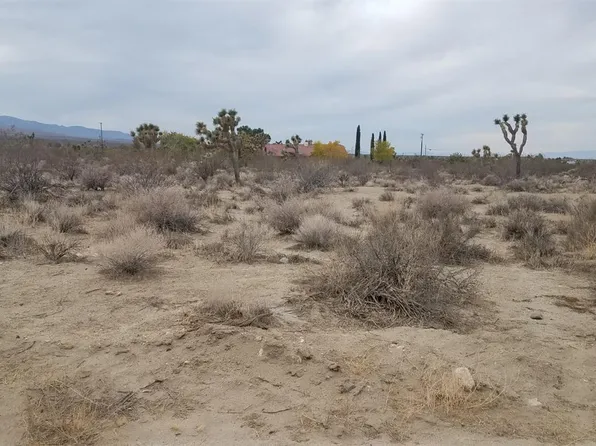 12322 Buena Vista Rd, Pinon Hills, CA 92372