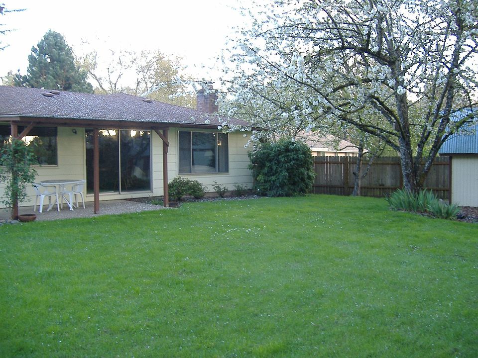 back & cherry tree