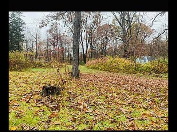 3rd image of 1477 Erickson Dr