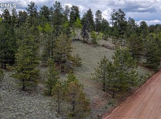 581 Spring Valley Ln, Florissant, CO 80816