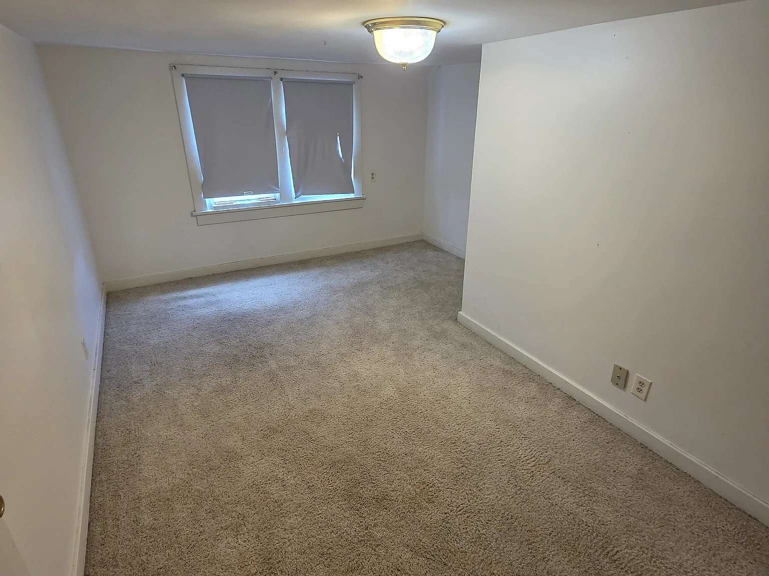 1 bed, $800 — Photo 1