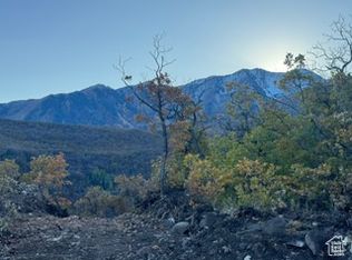 10 E Spring Mountain Dr, Springville, UT 84663