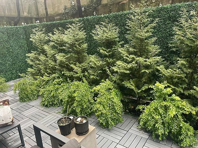 1st image of 414 W 54th St #Pha