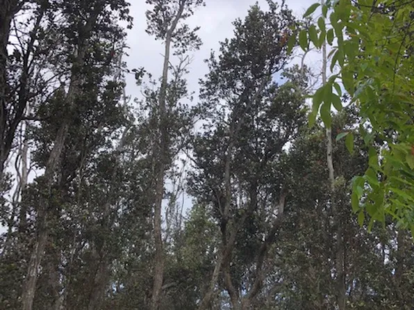 Lehua Ln Lot 18, Ocean View, HI 96737