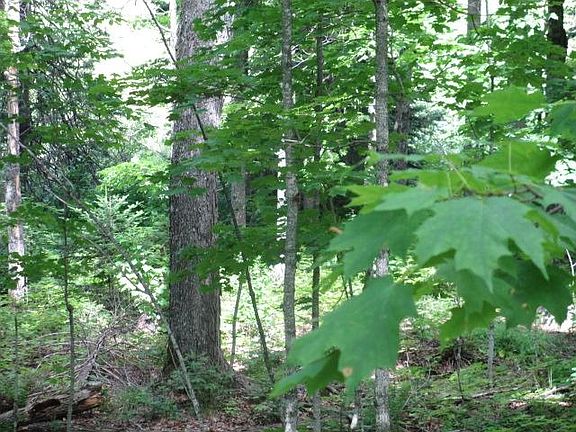 4th image of LOT 3 Fisher Lake Rd E