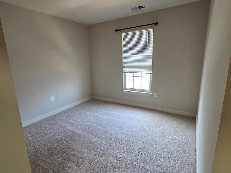 14203 Plum Run Way — Photo 15