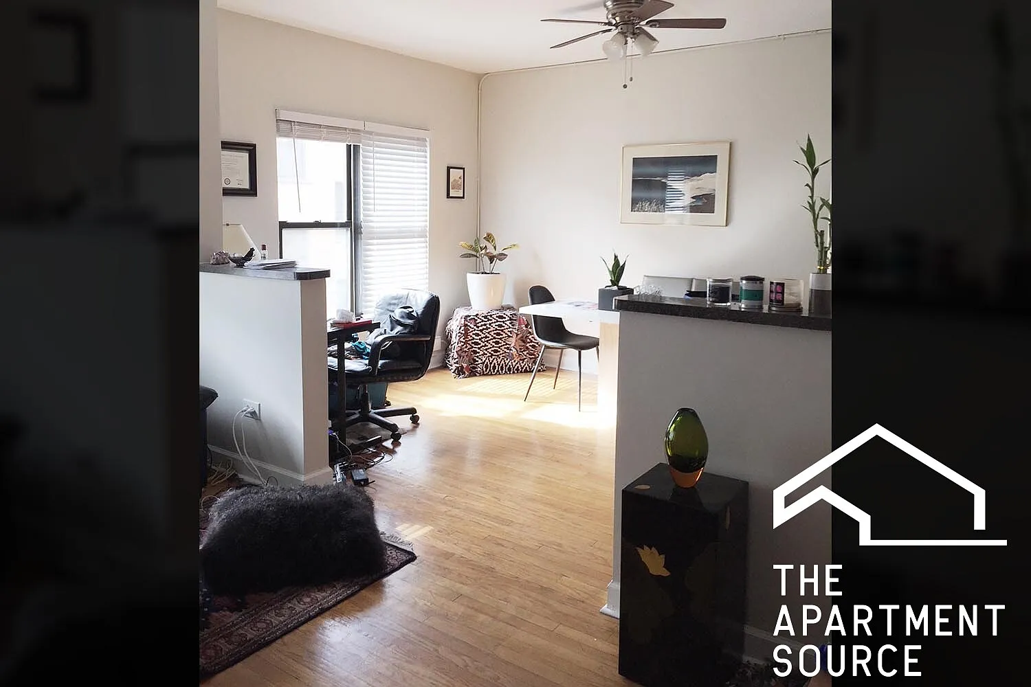 1 bed, 675 sqft, $2,145 — Photo 1