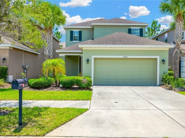 16065 Bella Woods Dr, Tampa, FL 33647