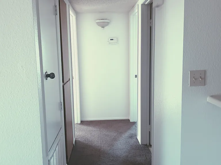 Bayfield Apartments — Photo 15