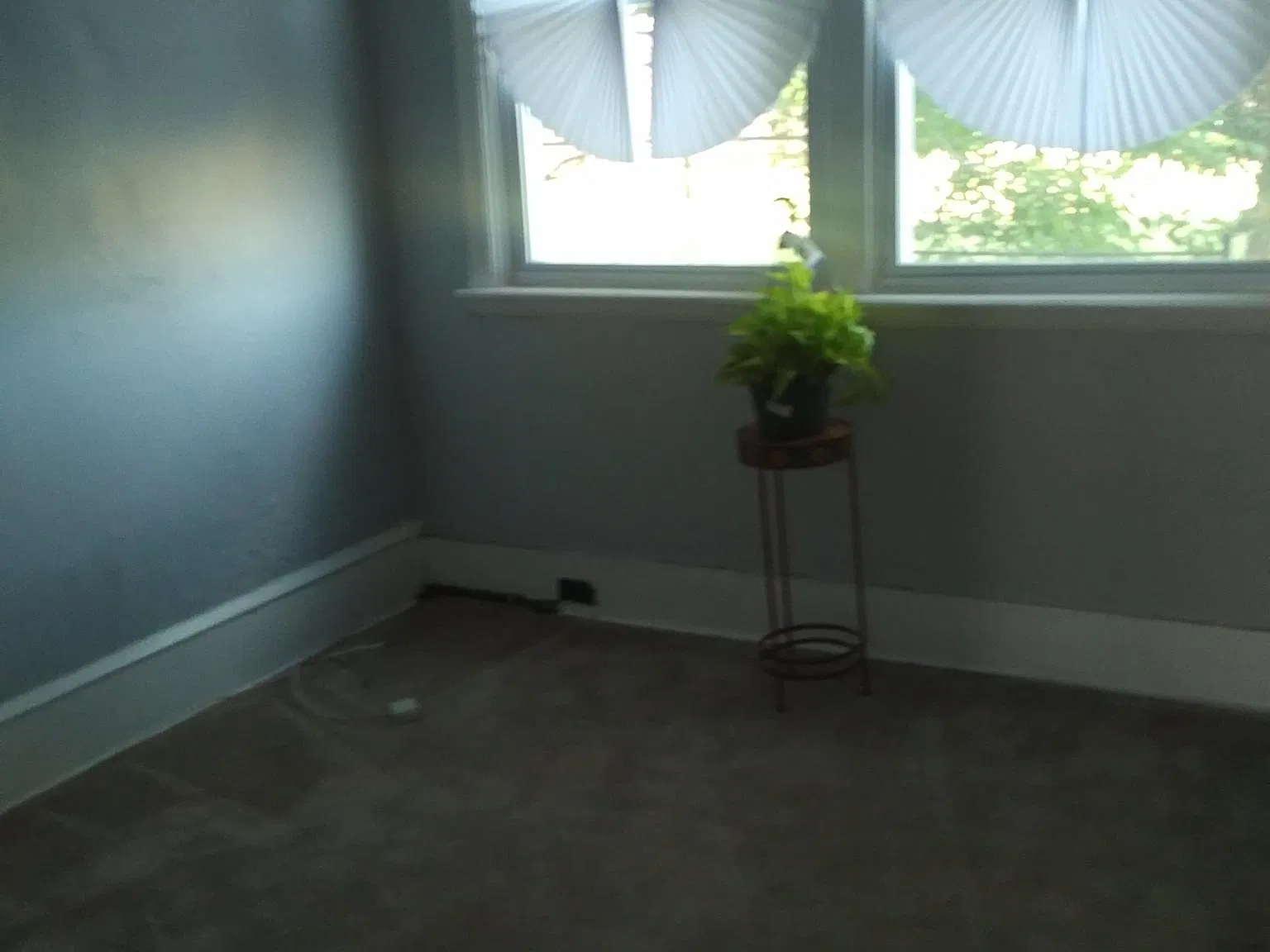 1 bed, $1,250 — Photo 2