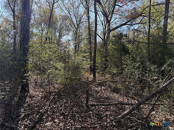 2nd image of County Road 301 #7