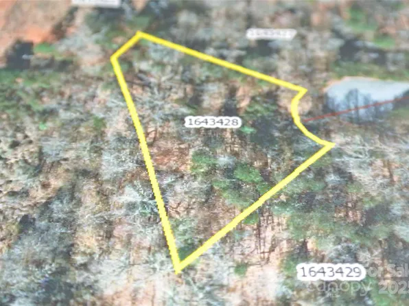 130 Rosecommon Ln, Rutherfordton, NC 28139