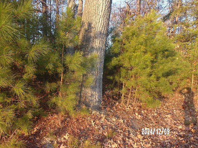 2nd image of 2 Piney Grove Rd