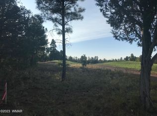 2321 S Monkshood Rd, Show Low, AZ 85901