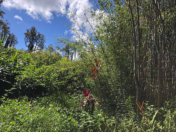 2nd image of 0 Kokokahi Rd #71