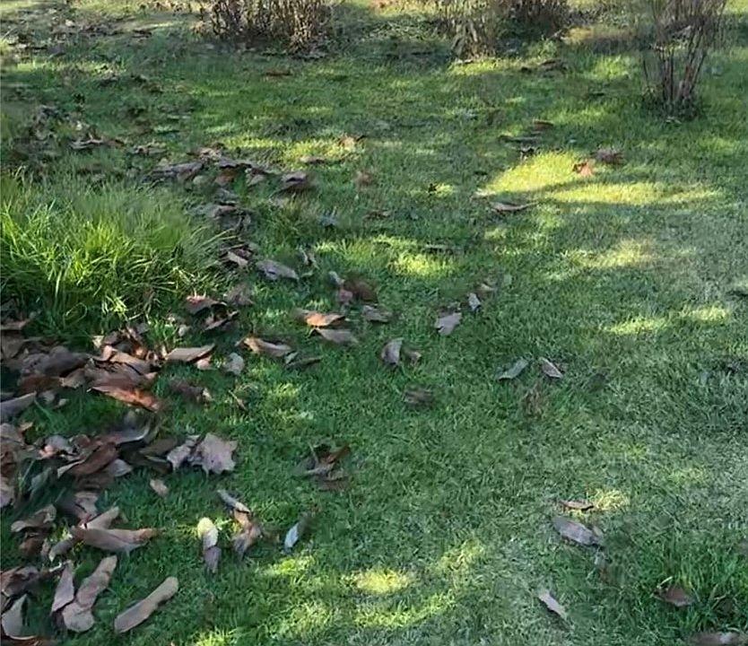 1st image of 9767 Fairway Dr