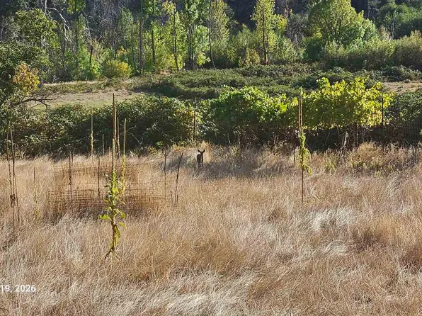 5100 & 5109 Indian Creek Rd, Happy Camp, CA 96039