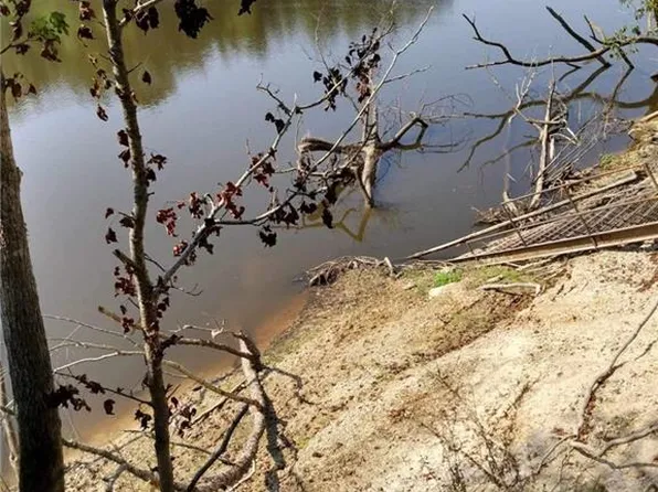 No Number River Bend Rd, Angie, LA 70426