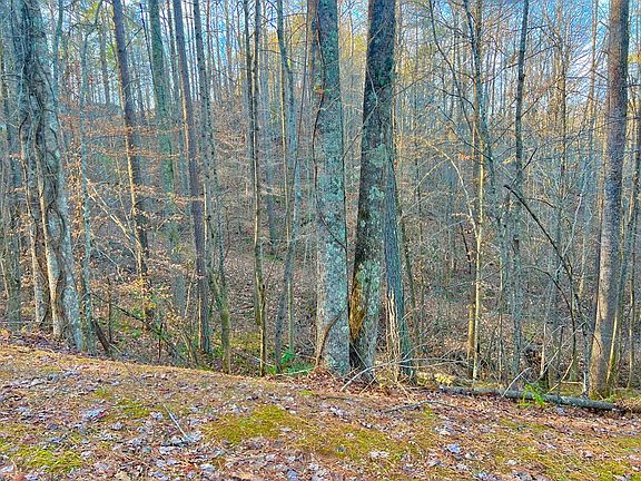 3rd image of 53 Mountain Creek Hollow Dr
