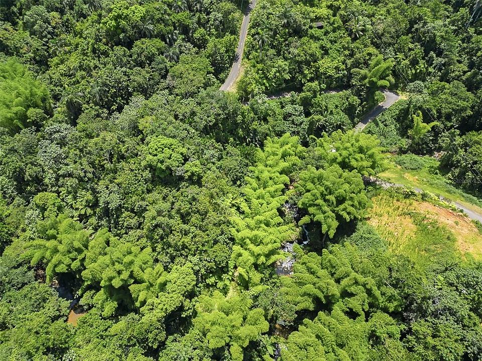 1st image of Carretera 124 KM 1.3 BO. BUENA VISTA