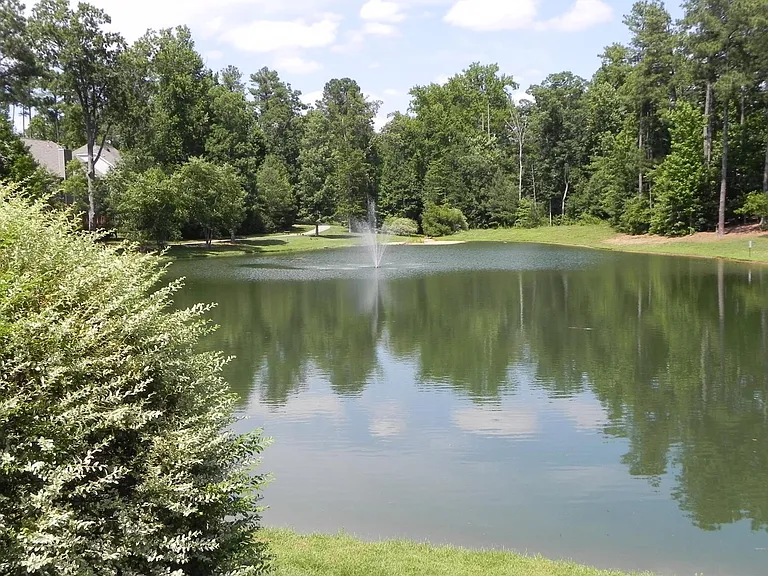 207 Cove Creek Dr — Photo 20