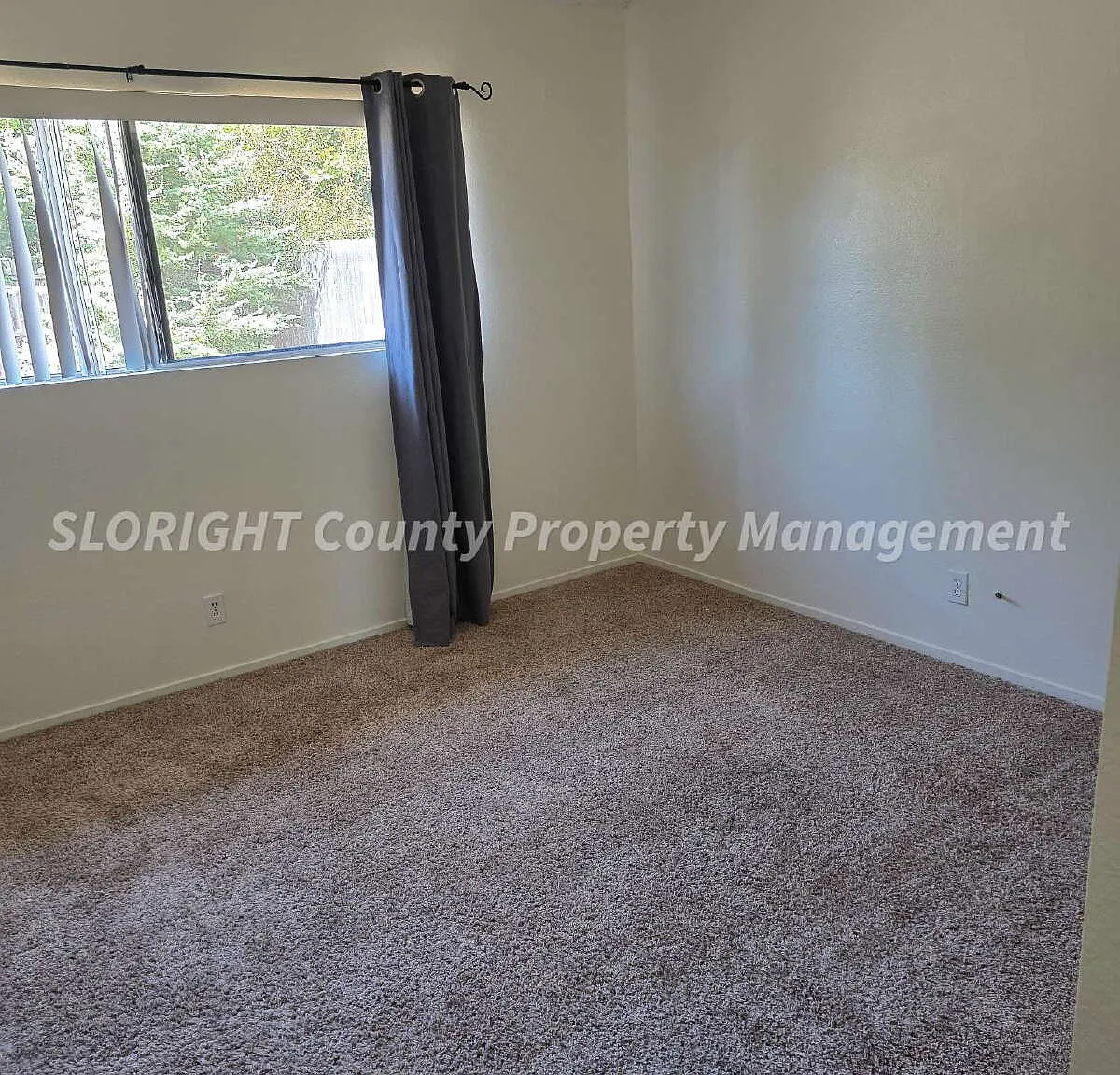 3 bed, 2.0 bath, 1196 sqft, $3,600 — Photo 2