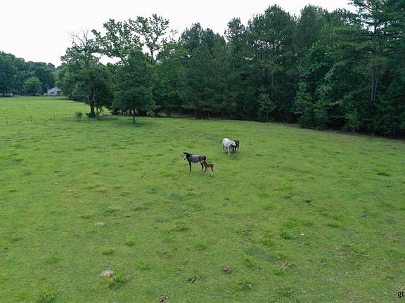 3rd image of 16089 County Road 363