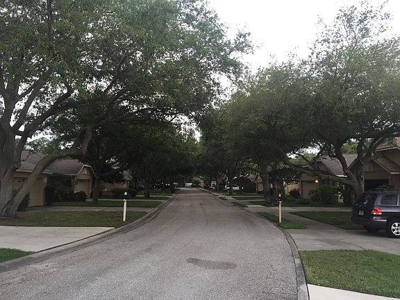 Nice Tree-lined Neighborhood