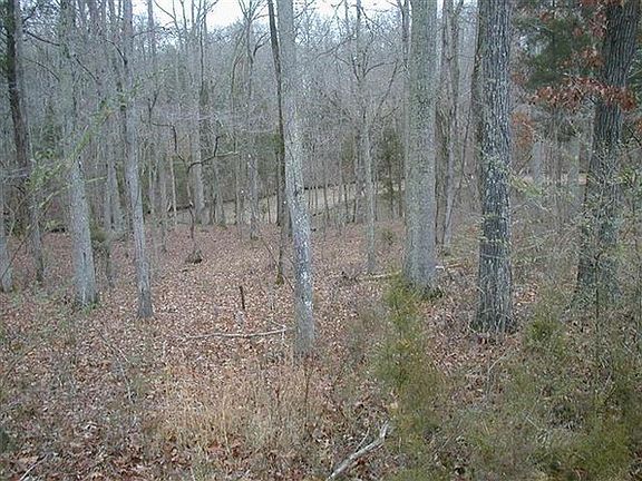 5th image of E Shore Dr #Lot 149