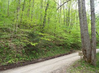 18 Turtle Creek Rd, Sylva, NC 28779