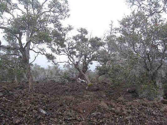 2nd image of Maile Dr Lot 2