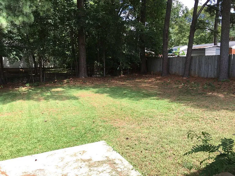 Fenced in Back Yard