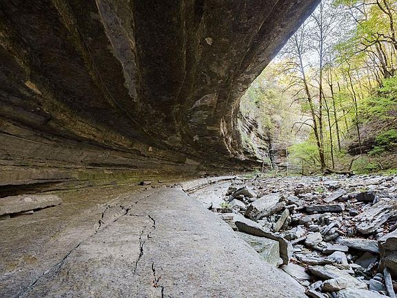 81st image of 1050 Pine Creek Falls Rd