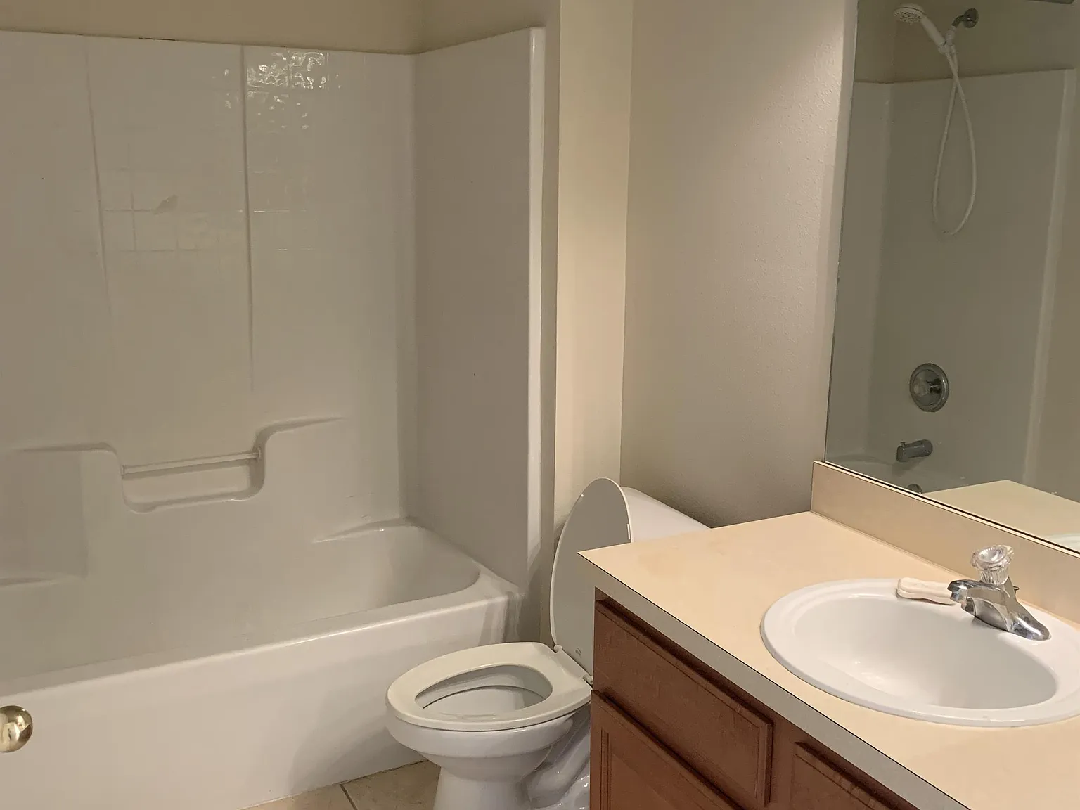 3343 Bracken Fern - 1 — Photo 4