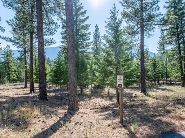 LOT 9 Stonefly Rd, Clinton, MT 59825