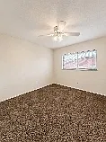 2621 Tyrell Dr — Photo 4