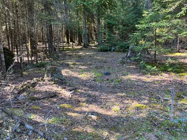 2763 E M 134, Hessel, MI 49745