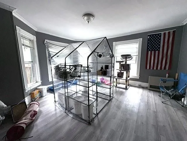 421 Laurel St #3 — Photo 8