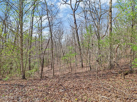 3rd image of Thompson Rd