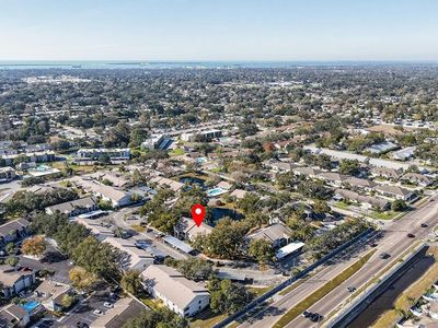 2150 Elm St APT 603, Dunedin, FL, 34698