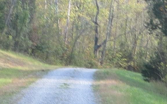 5th image of 2 Tilford Ln