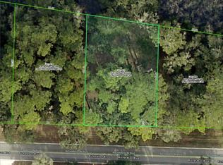 Richardson Blvd LOT 17, Webster, FL 33597