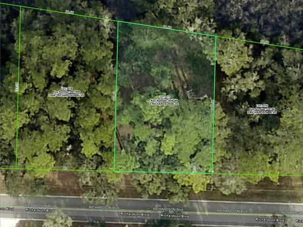 Richardson Blvd Lot 17, Webster, FL 33597
