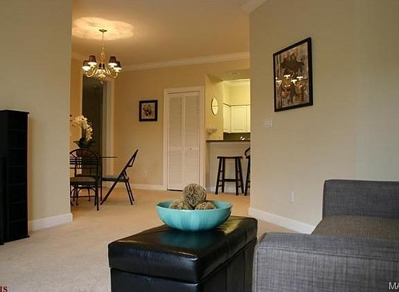 5th image of 13101 Mill Crossing Ct APT 206