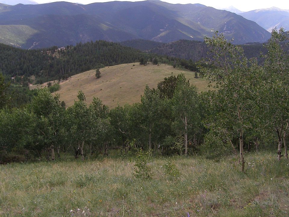 1st image of Consolidated Ditch
