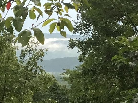 4th image of 260 Deer Ridge Trl