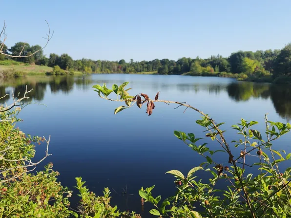 (undisclosed Address), Winnsboro, TX 75494