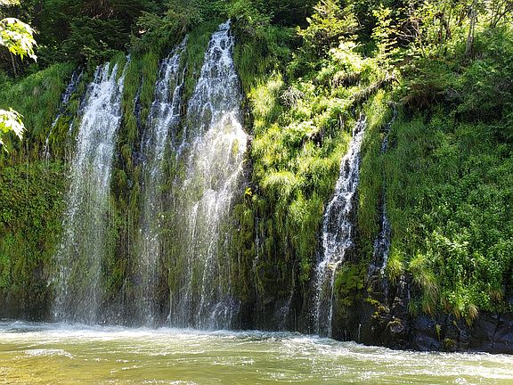 Water Falls in Dunsmuir